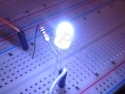 LED 5mm White Matte/diffuse